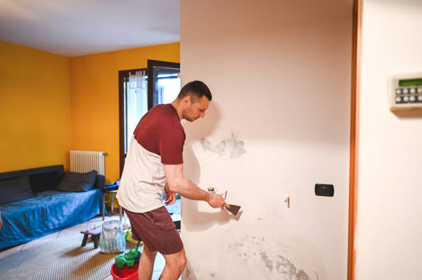 Best Post-Remediation Services in Johns Creek, GA